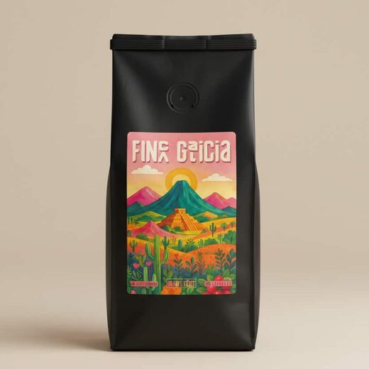 Nos cafés de spécialité